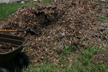 compost pile